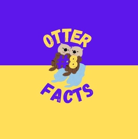 Otter Species Crash Course 6 - Meeting the Two Otters Who Call the Ocean Home