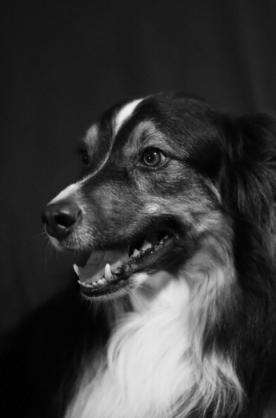 Ashley M. - The Art of Photography